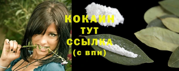 МДПВ Абаза