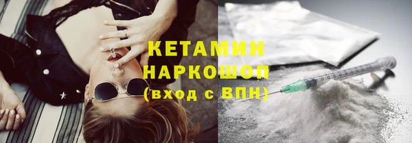 шишки Лабытнанги