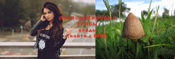 МДПВ Абаза