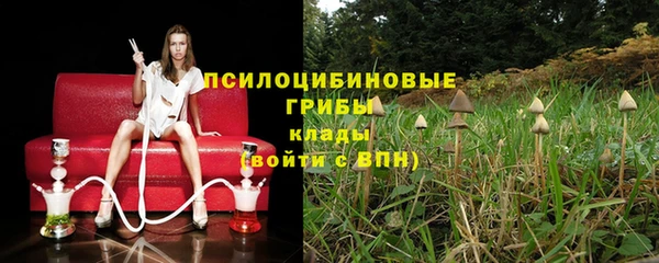 трава Абдулино