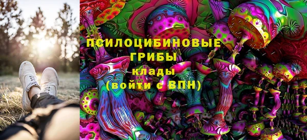 шишки Лабытнанги
